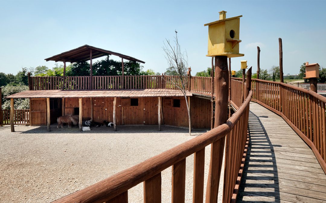 Il giardino dei piccoli passi
