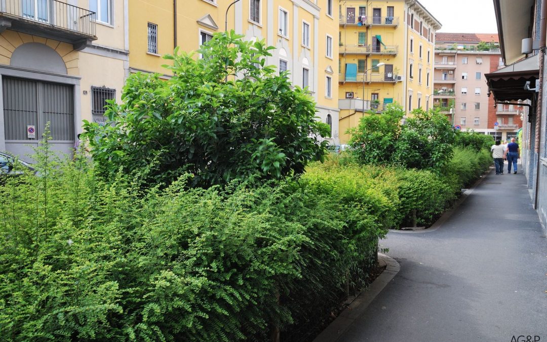 Greening the Streets