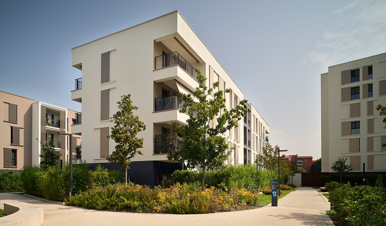 A New District in Merezzate street