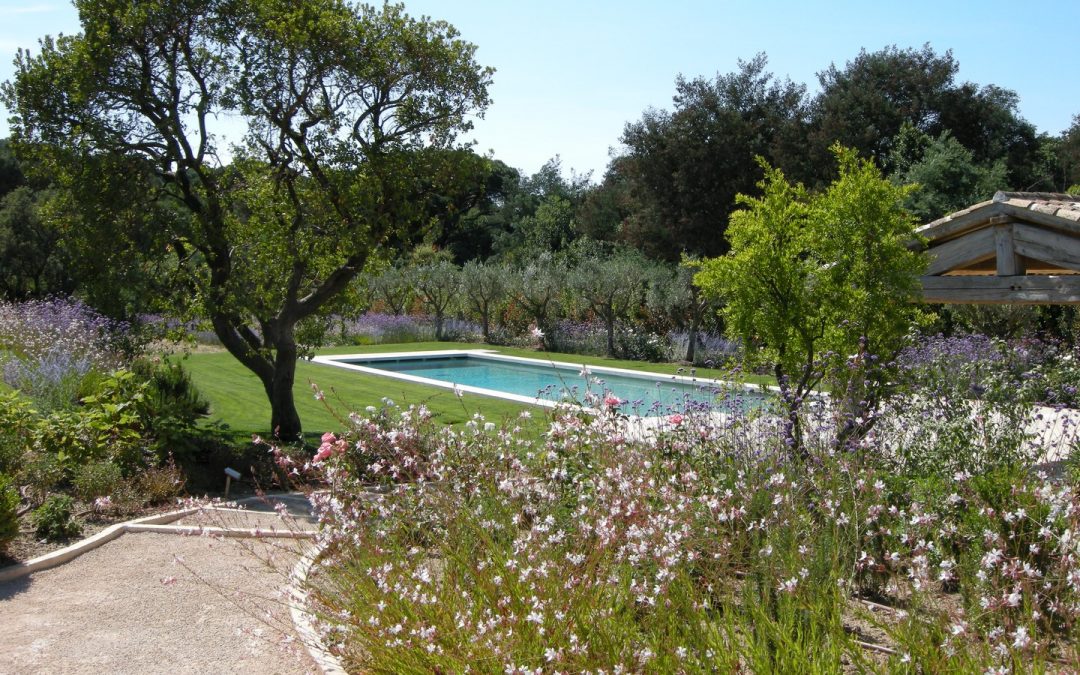 Mediterranean Fragrance
