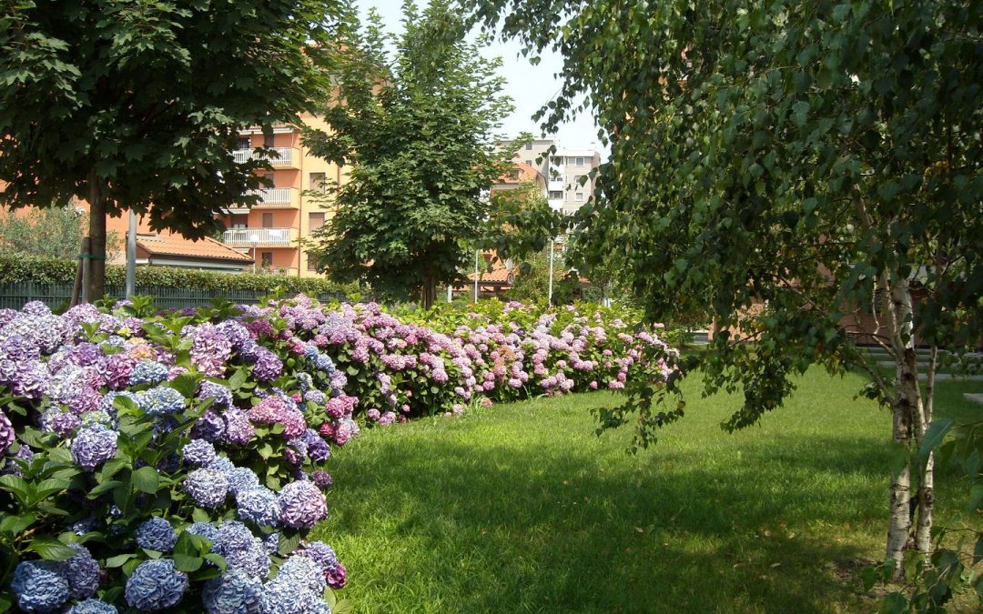 Urban Countryside