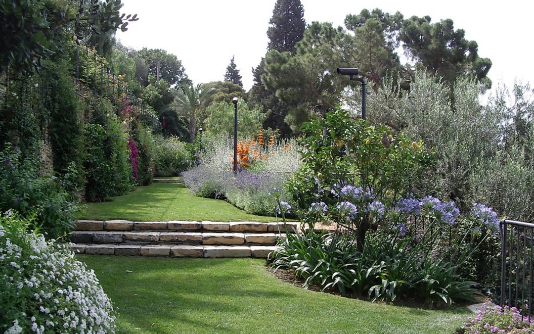 Immersi nel verde