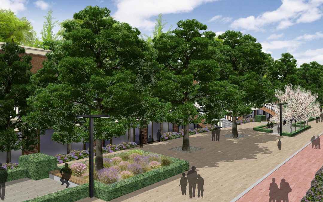 Makarova Line Park