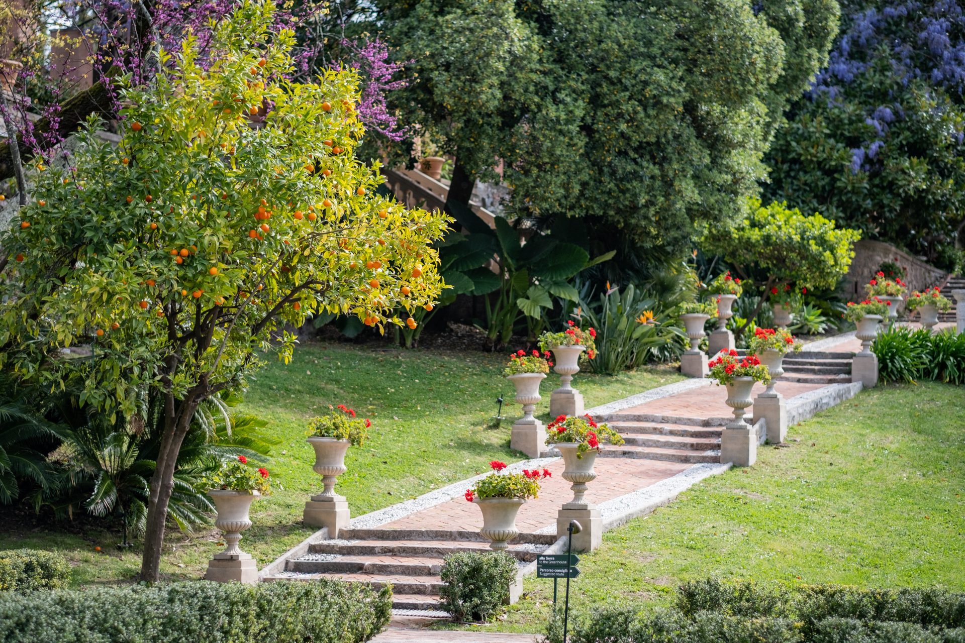 Giardino Italiano 13 racconta il giardino storico di Villa Rezzola