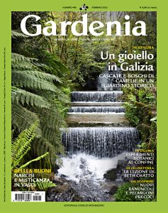 Gli Orti di Siemens: La scrivania all’ombra delle pergole – Gardenia