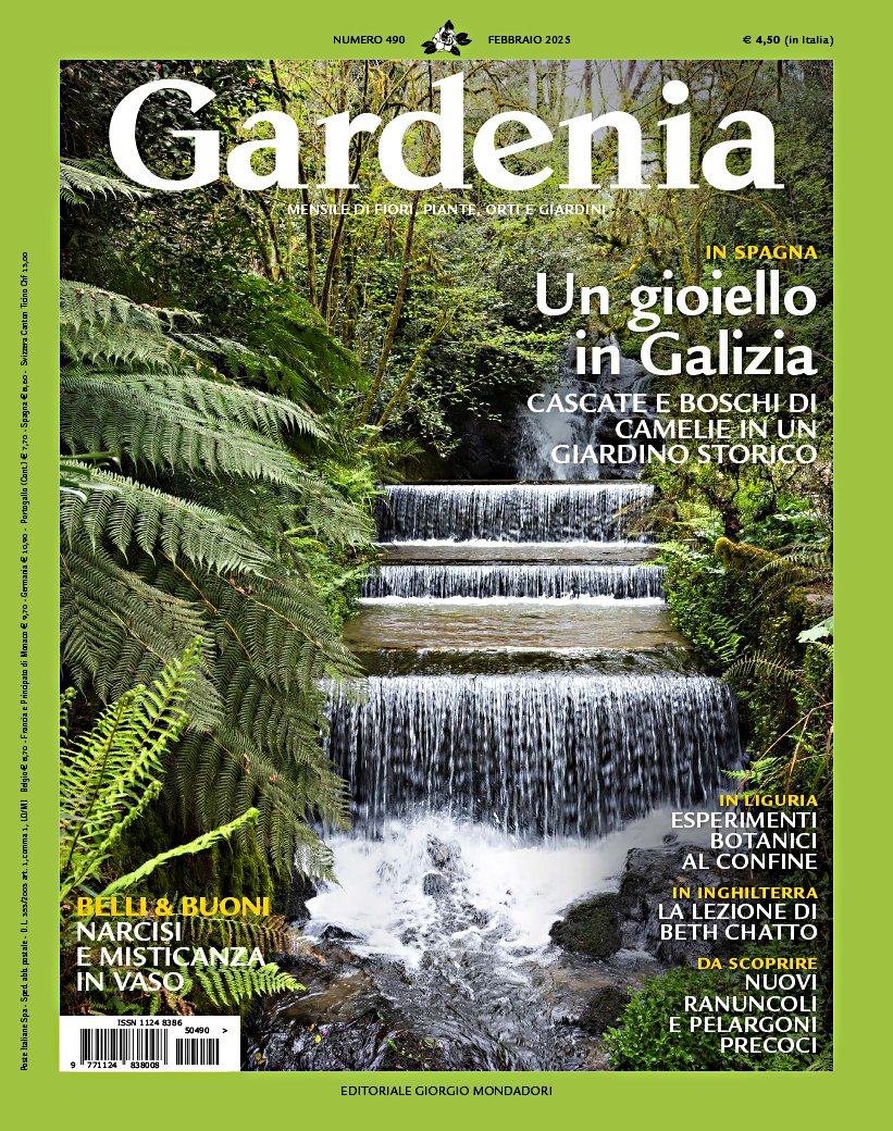 Gli Orti di Siemens: La scrivania all’ombra delle pergole – Gardenia