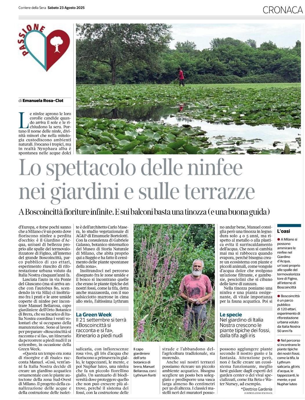 Lo spettacolo delle ninfee nei giardini e sulle terrazze – Corriere della Sera
