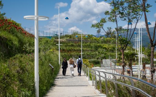 Giornata Mondiale della Biodiversità 2026